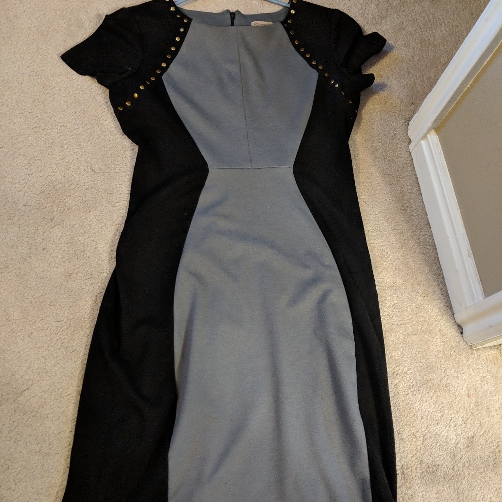 Tailored Dress Barn Dress